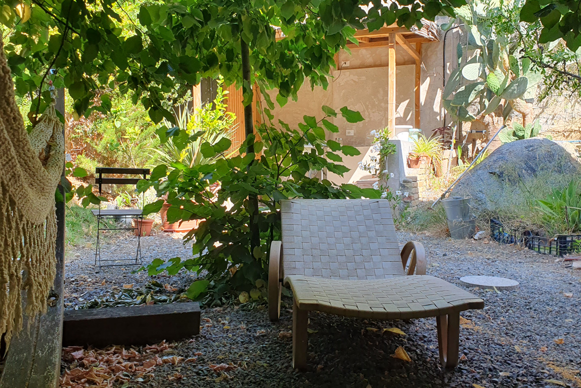 Outdoor Garden