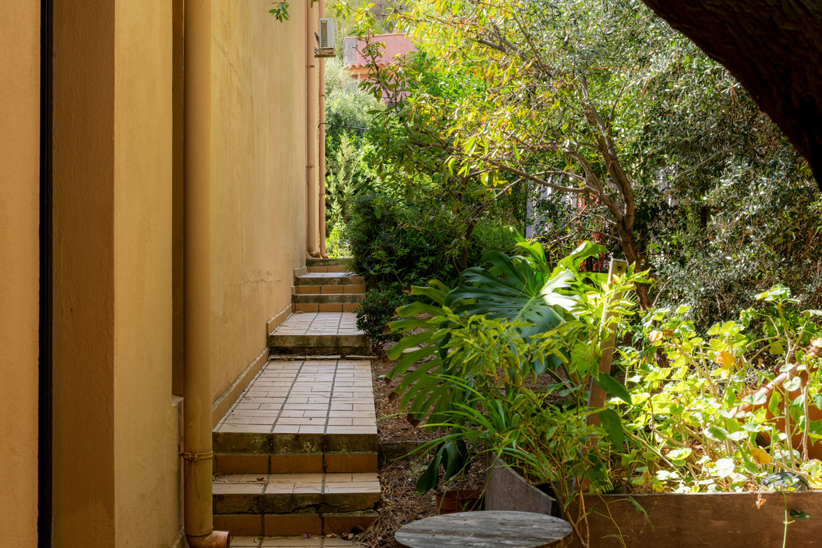 Outdoor Garden