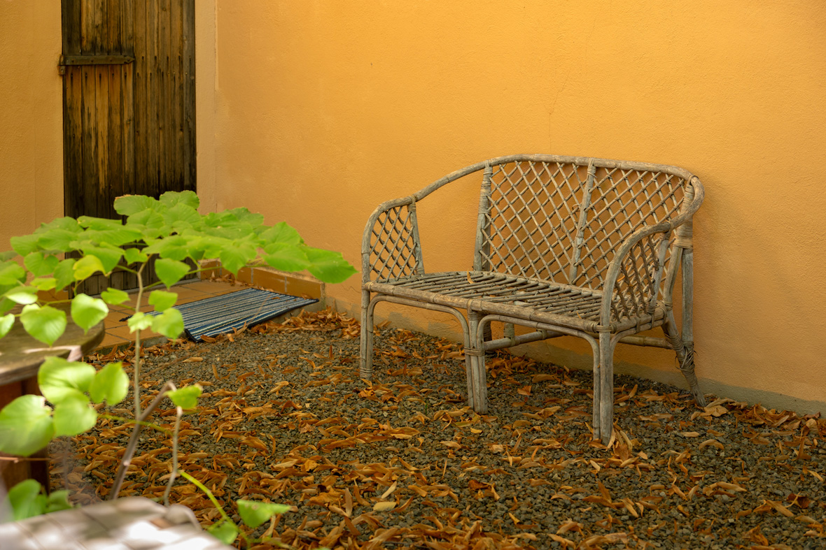 Outdoor Garden