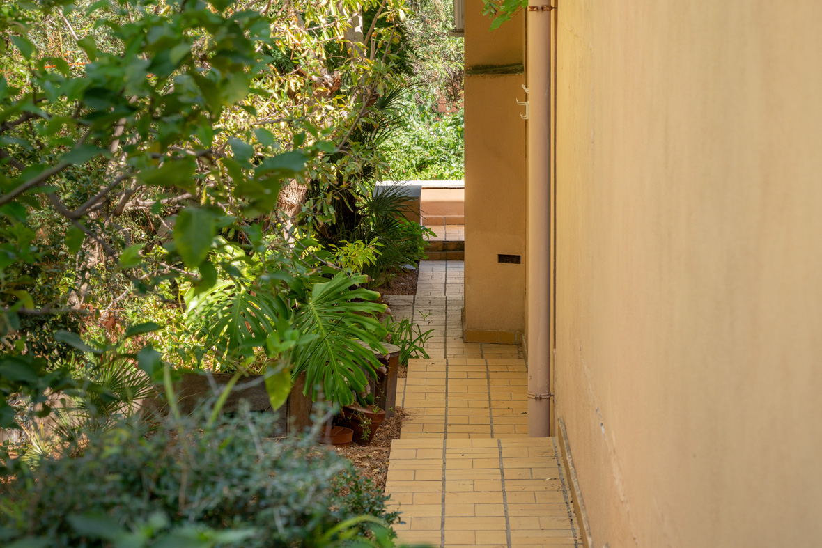 Outdoor Garden