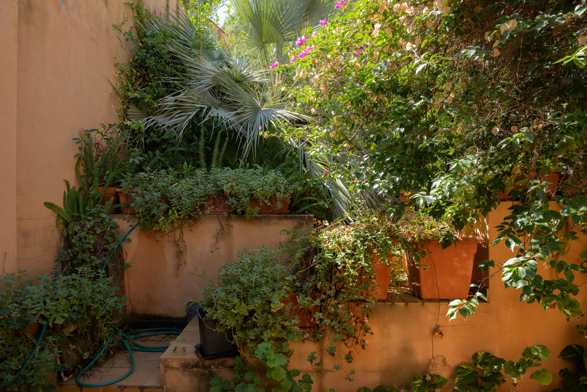Outdoor Garden