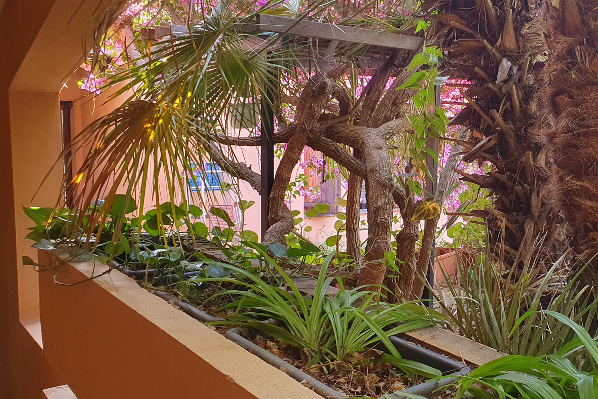 Indoor Garden